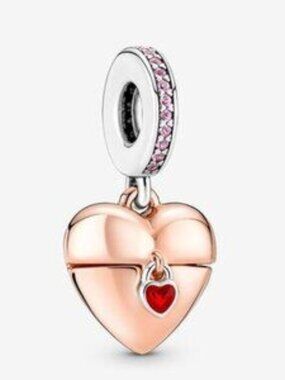 Pandora Charms